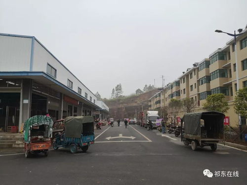 祁東縣大型活禽水產(chǎn)綜合批發(fā)市場 位置、功能與區(qū)域商貿(mào)新格局
